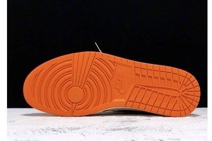 SHATTERED 1 555088-113 - JORDAN RETRO REVERSE BACKBOARD 0808